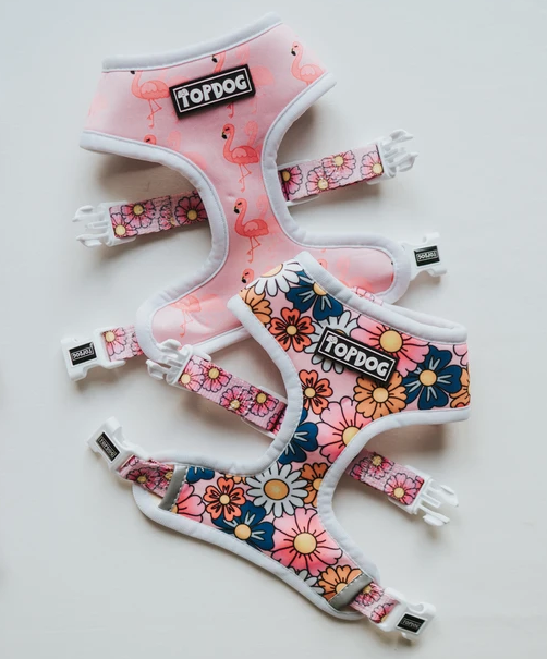 Pretty in Pink Harness Size XL